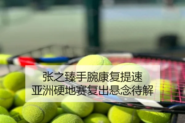 张之臻手腕康复提速 亚洲硬地赛复出悬念待解